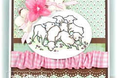lambsplaying-broni