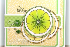 lemonslice-broni