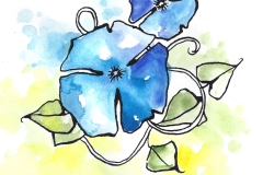 bluebell-adfd-color