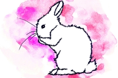 fuzzybunnybath-adayfordaisies-color