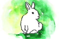 fuzzybunnythoughts-adayfordaisies-color