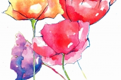 poppygroup-adfd-color