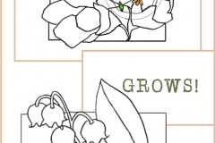 Love Grows C