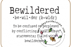bewilderedpastrelease-2