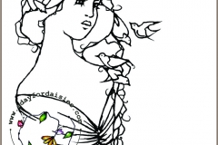 birds-3