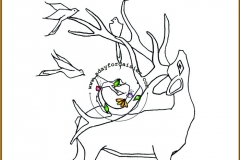 deerme-1