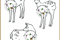 deerme-2
