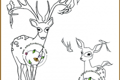 deerme-3
