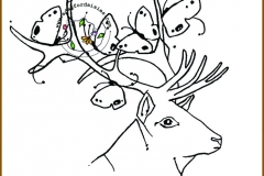 deerme-4