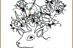 deerme-5
