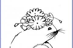 seal-1