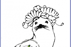 seal-2