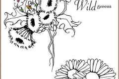 wildfairy-3